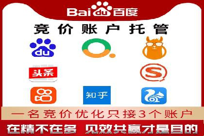 某电商平台的SEM优化案例分享